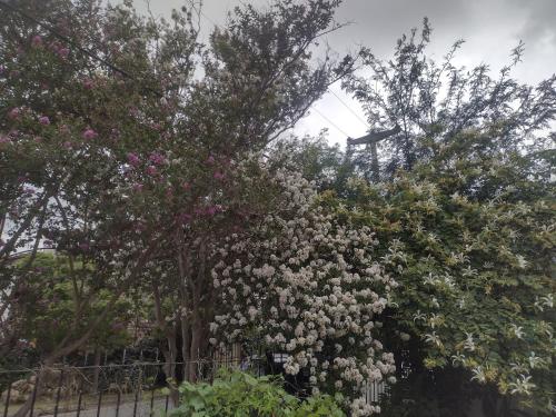 Refugio Serrano Carlos Paz parque y pileta privada - image 5