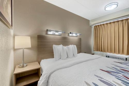 Red Roof Inn Buffalo - Niagara Airport - image 13