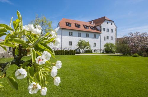 Schloss Hotel Wasserburg - Wasserburg am Bodensee