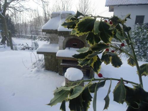 ogród, Agriturismo Zi Carmine in Parghelia