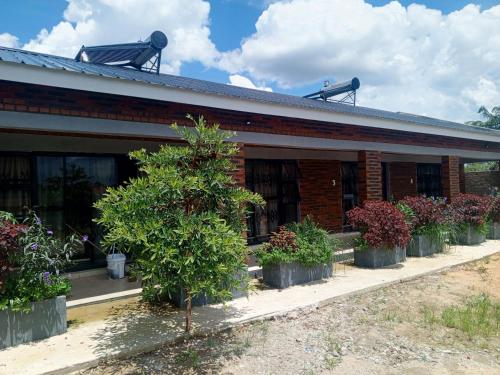 WaterBerry Guesthouse Masvingo in Masvingo