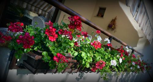 拉贝图拉乡村民宿