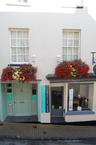 The Olive Branch - Accommodation - Ilfracombe