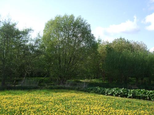 花園, Ferienwohnung Hyggebo in 蘭巴利格