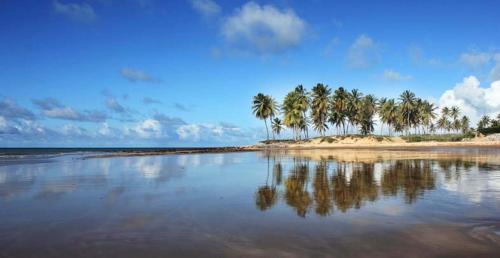 Lagoa dos Coqueiros