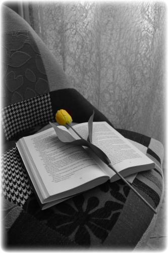 B&B Di Leo - image 7