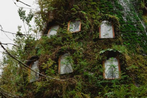 Montaña Mágica Lodge