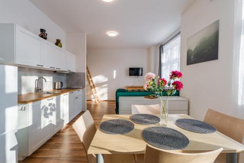 Konyha, JpBa Jiřetín pod Bukovou apartmány (JpBa Jiretin pod Bukovou apartmany) in Albrechtice V Jizerskych Horach