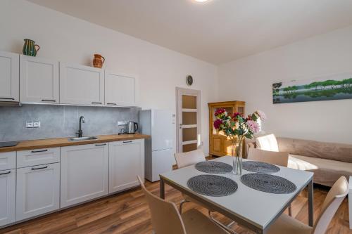 Konyha, JpBa Jiřetín pod Bukovou apartmány (JpBa Jiretin pod Bukovou apartmany) in Albrechtice V Jizerskych Horach