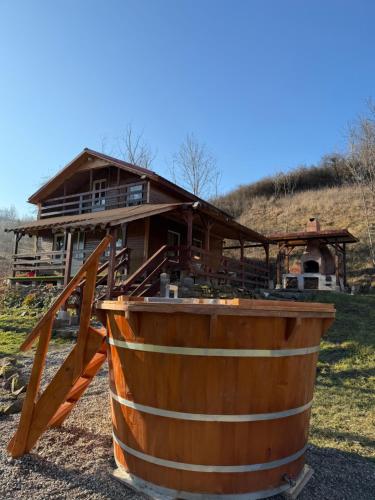 Cabana Buta - Location saisonnière - Dumeşti