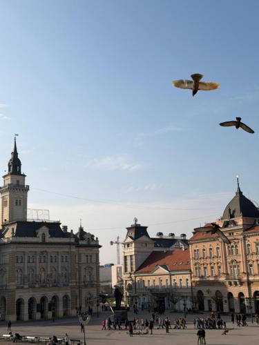 Historic Grand Suite