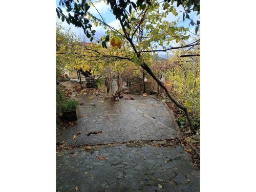 A környék, Secluded Holiday Home in Kalavrouza with Mountain Views,BBQ in Kato Achaia