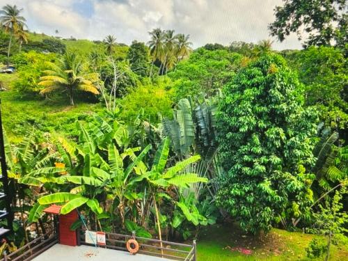 Tropical Tobago in Carnbee