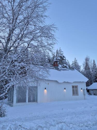 Salberg in Alvsbyn