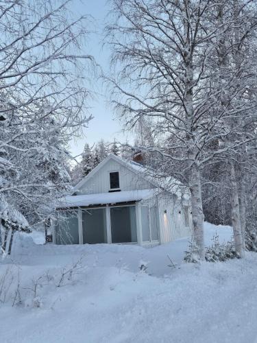 Salberg in Alvsbyn