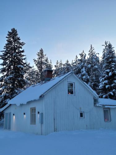 Salberg in Alvsbyn