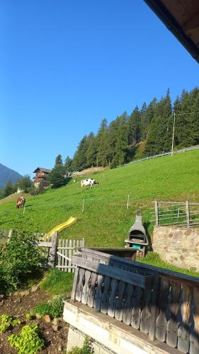 Biohof Unterstein in Ultimo