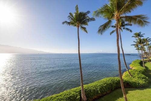 Island Sands Resort 310 in Maalaea (HI)