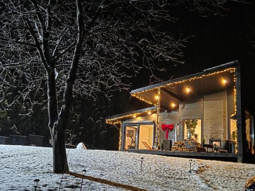 Exterior view, Black Walnut House with indoor outdoor fireplace in Homorâciu