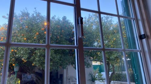 The Lemon Tree House in Sesimbra