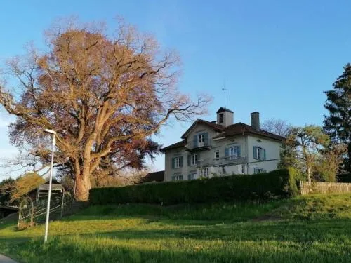 Apartment Studio Ferienwohnung - 38 m2- mit Gartennutzung by Interhome in Bottighofen, Schweiz