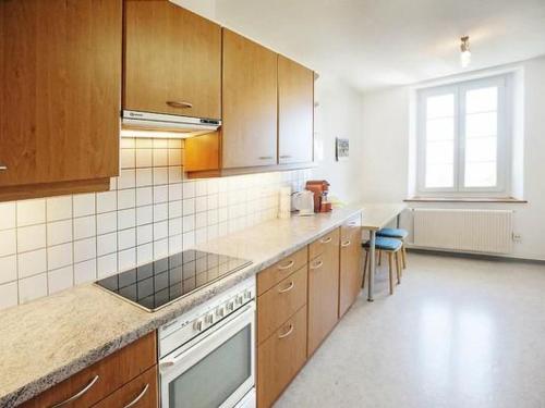Apartment Berghof Hallau grosse Ferienwohnung by Interhome in Hallau