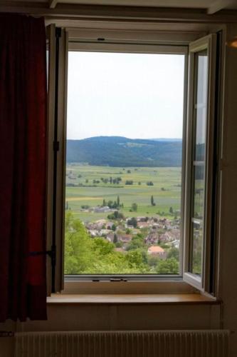 Apartment Berghof Hallau grosse Ferienwohnung by Interhome in Hallau
