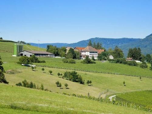 Apartment Berghof Hallau grosse Ferienwohnung by Interhome in Hallau
