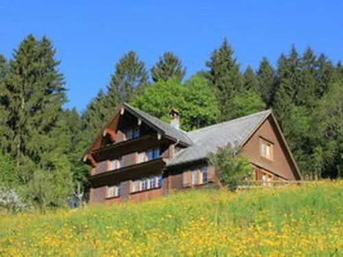 Holiday Home Obere Laui by Interhome in Nesslau, Schweiz