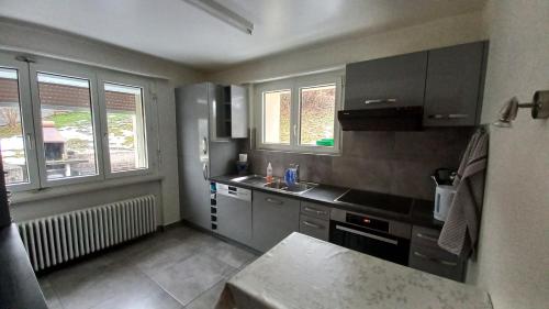 廚房, Villa panorama 1000 in 拉紹德封