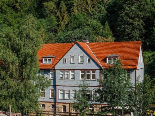Apartment Gemütliche Ferienwohnung in Lerbach by Interhome in Lerbach, Deutschland