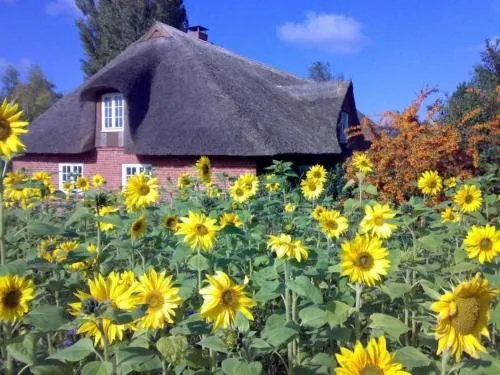 Holiday Home Finkenbusch by Interhome in Riepsdorf, Deutschland
