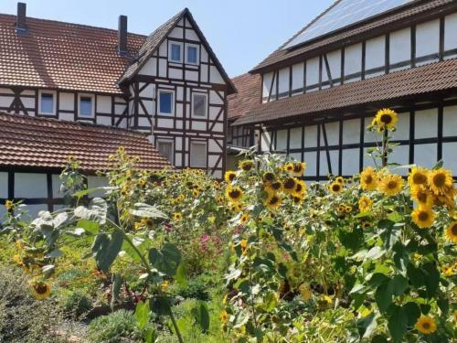 Holiday Home Waldhaus57 Silbersee by Interhome in Frielendorf