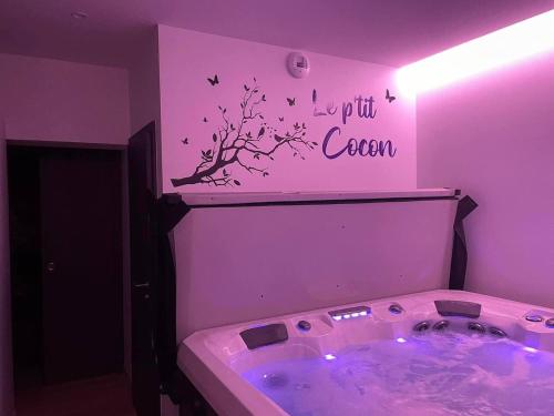 Studio 3 étoiles avec grand JACUZZI PRIVÉ (Studio 3 etoiles avec grand JACUZZI PRIVE) in Horbourg-Wihr