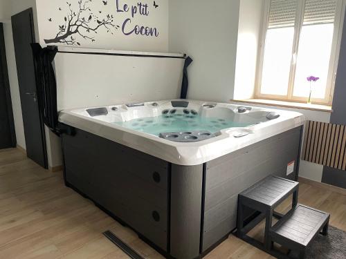Studio 3 étoiles avec grand JACUZZI PRIVÉ (Studio 3 etoiles avec grand JACUZZI PRIVE) in Horbourg-Wihr