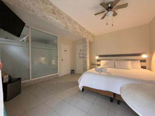 Victoria Hotel y Spa in อิกซ์ตาปัน เดลา ซาล
