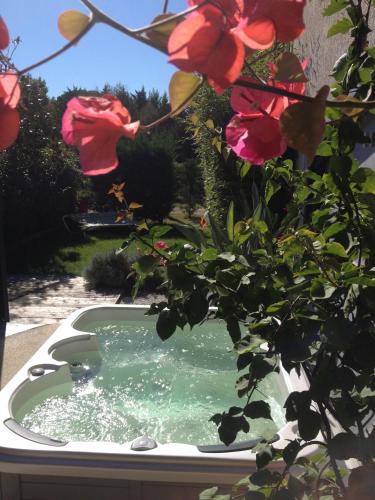 Chambres d'hotes Deluxe Jacuzzi Mas de l'Etoile - image 12