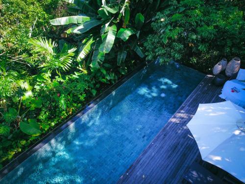 Surrounding environment, Palay Villa in Malay