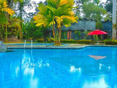 Puerto Quito Lodge - MonPar