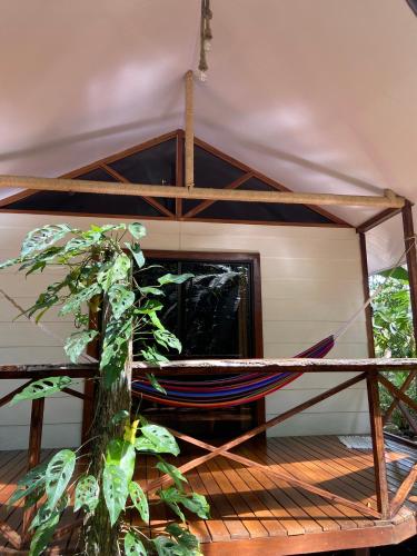 Erkély/terasz, Monkey House, Monterrey in Fortuna