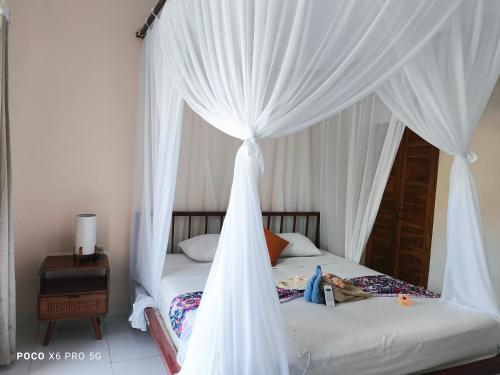 Mango Moon Room Type - Budget Double Room