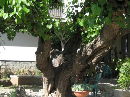 . Hotel da Rosanna