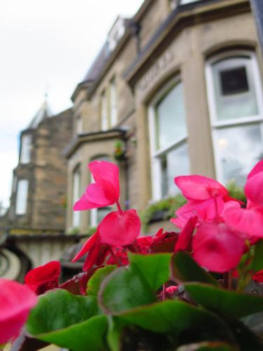 Ardmillan Hotel - image 8