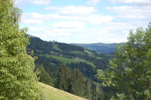Ferienwohnung Leeb - image 7