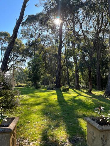 Otway bush barn retreat on 3 acres - pet friendly in Gellibrand