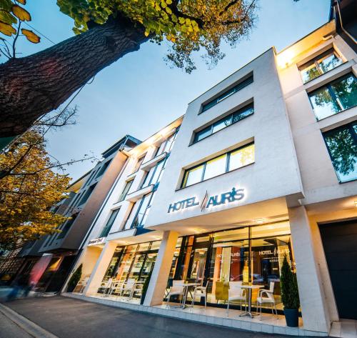 المنظر الخارجي, Hotel Auris in زيجيد