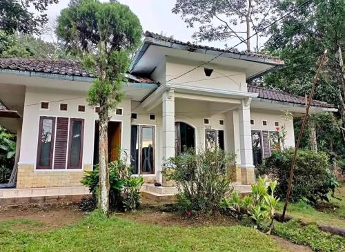 Vila ala desa in Sukamanah