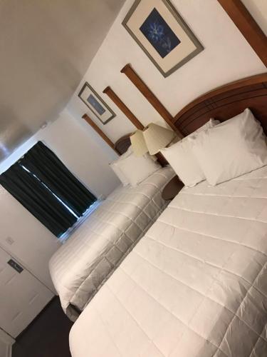 2 queen beds