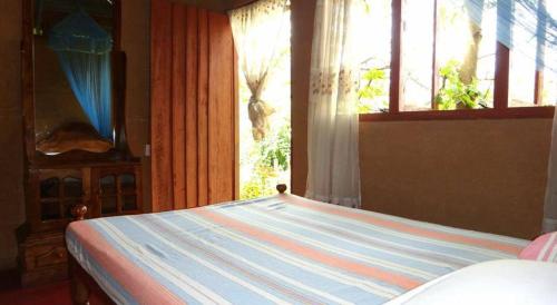 Rural Jungle Backpackers Hostel in Kotapola