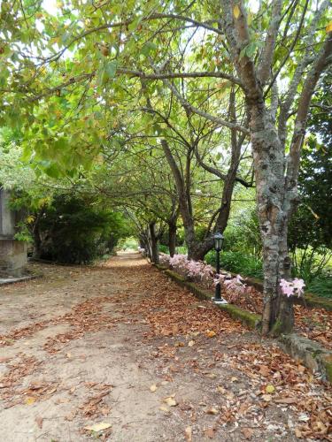 Quinta Do Bento Novo - Casa de Campo - Turismo Rural